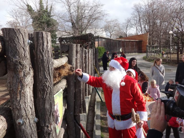 Снимки: Дядо Коледа във Варненския Зоопарк