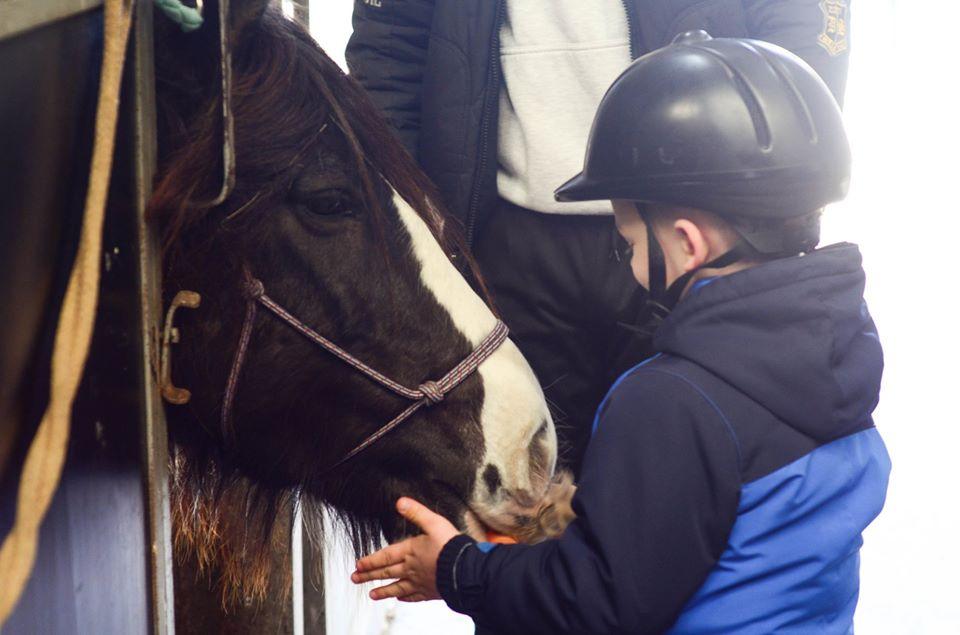 Нека помогнем: Събират пари за закупуването на терапевтичен кон