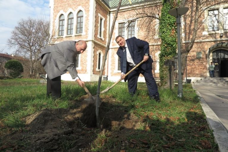Евродепутатът Емил Радев и директорът на Първа езикова гимназия посадиха дървета в двора на ГХГ – Варна
