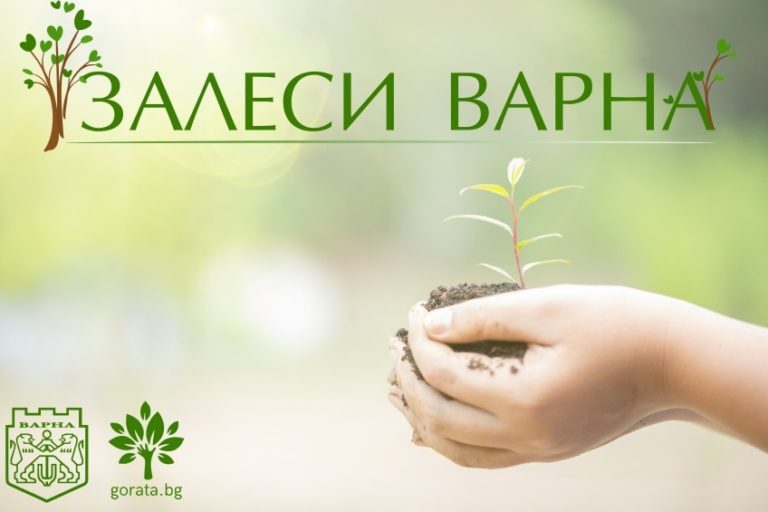 Започва есенна кампания „Залеси Варна“