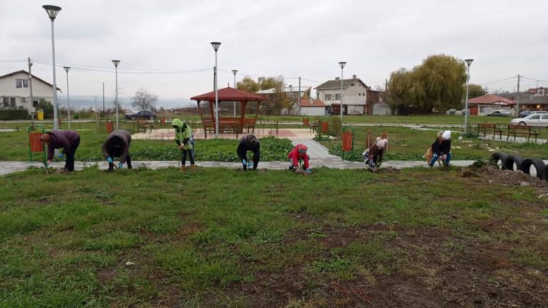Засадиха 170 дървета в новия парк в Казашко