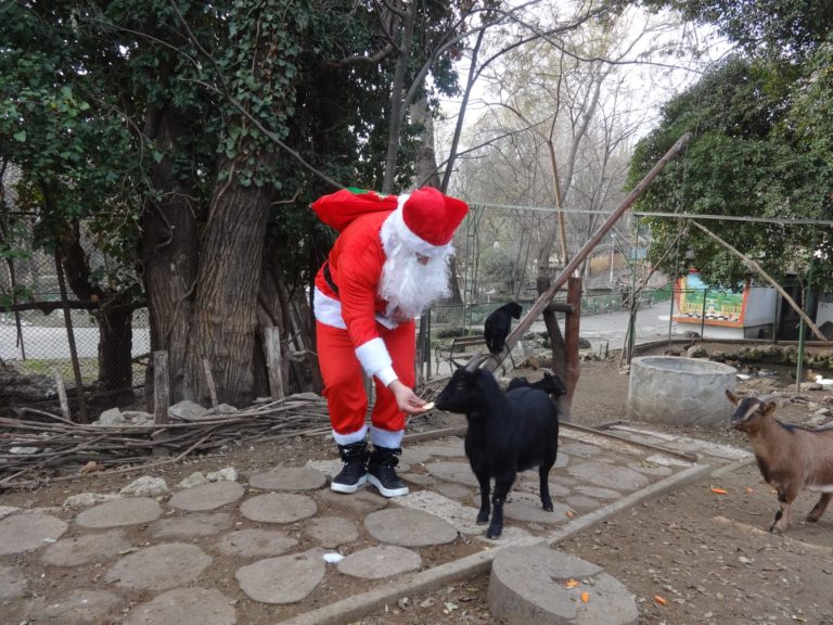 Снимки: Дядо Коледа зарадва животните във варненския Зоопарк