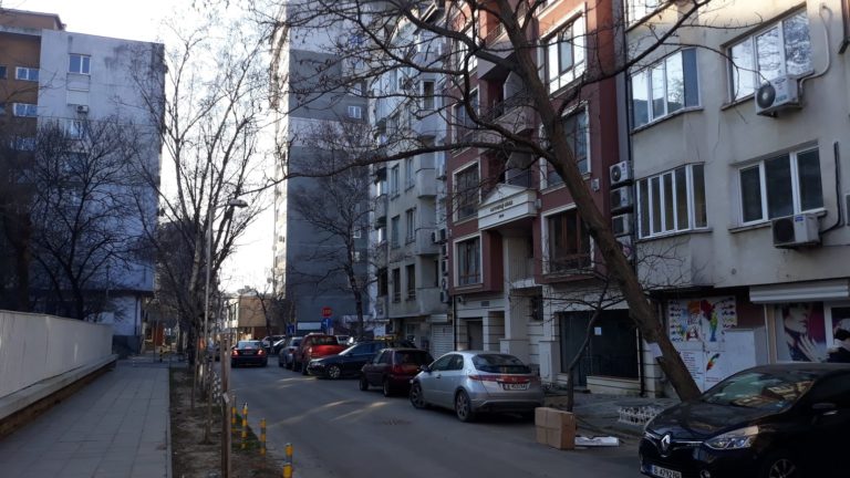 Варненка алармира: Дърво до детска градина е надвиснало опасно над улица “Константин Величков”