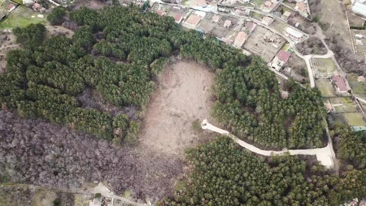 Протестите срещу изсичането на боровата гора в “Коджа тепе” продължават в събота