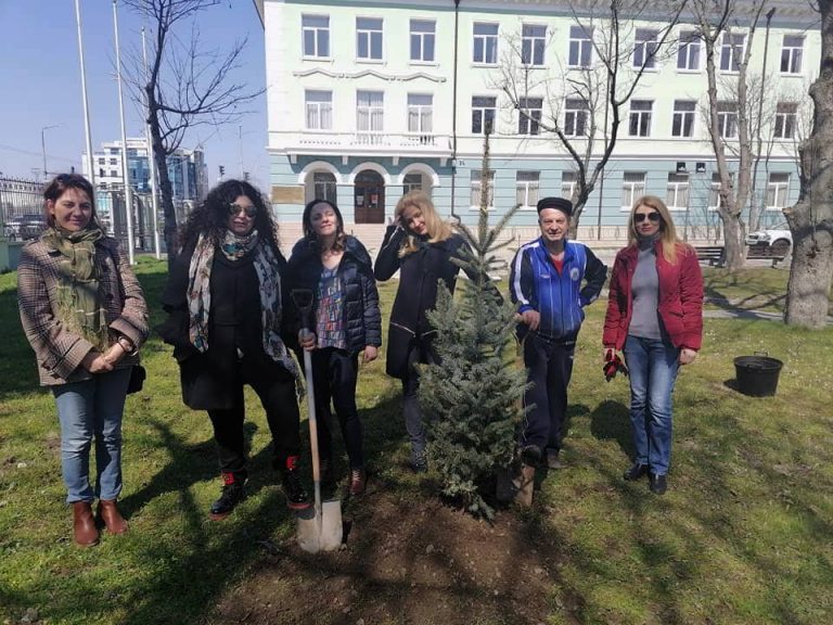 Засадиха сребърен смърч в двора на ИУ – Варна