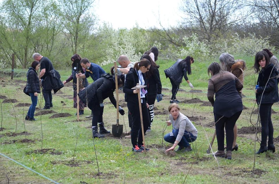По случай Международния Ден на Земята – засадиха 1500 дръвчета в Девня