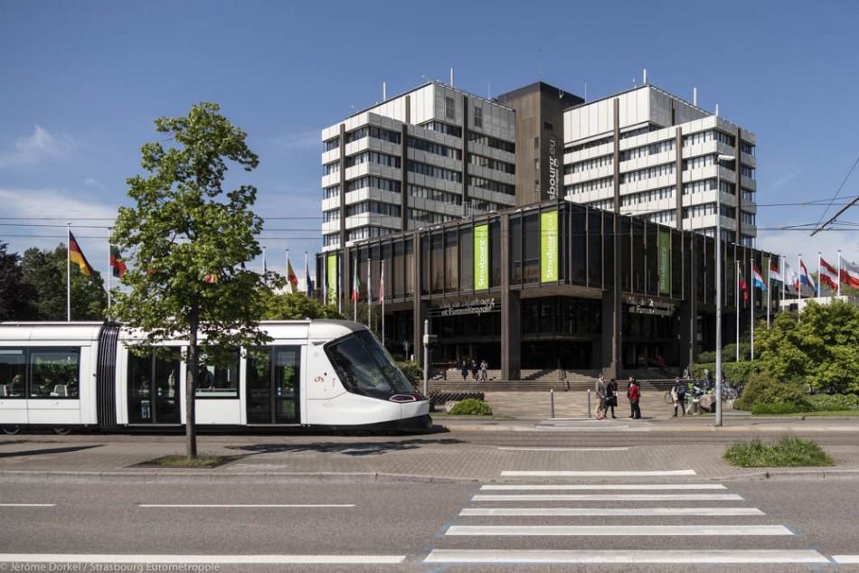 Девет варненци кандидатстваха за стаж в Страсбург