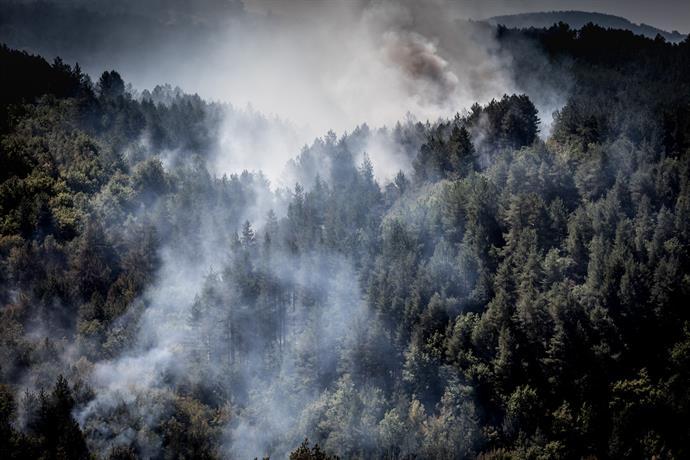 Главен комисар Николов: Всички пожари на територията на България са под контрол