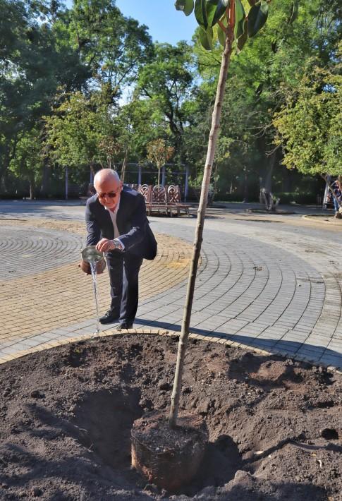 Община Варна се включи в инициатива за засаждане на 60 дървета