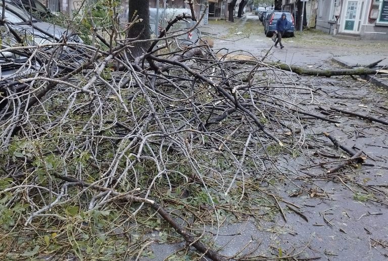 Раздават на социално слаби варненци събраната след бурята дървесина