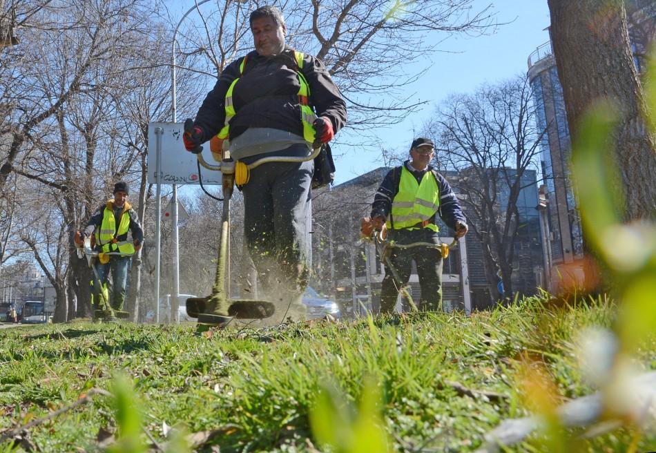 Шест фирми са ангажирани с пролетното косене на зелените площи във Варна