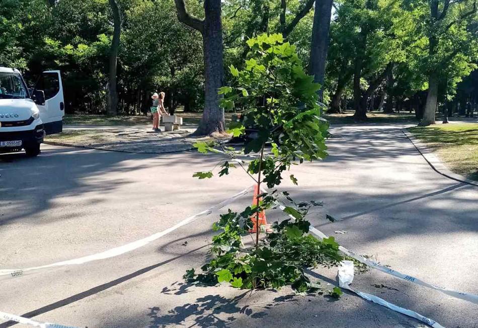 Запълват аварийно пропадането в Морската градина