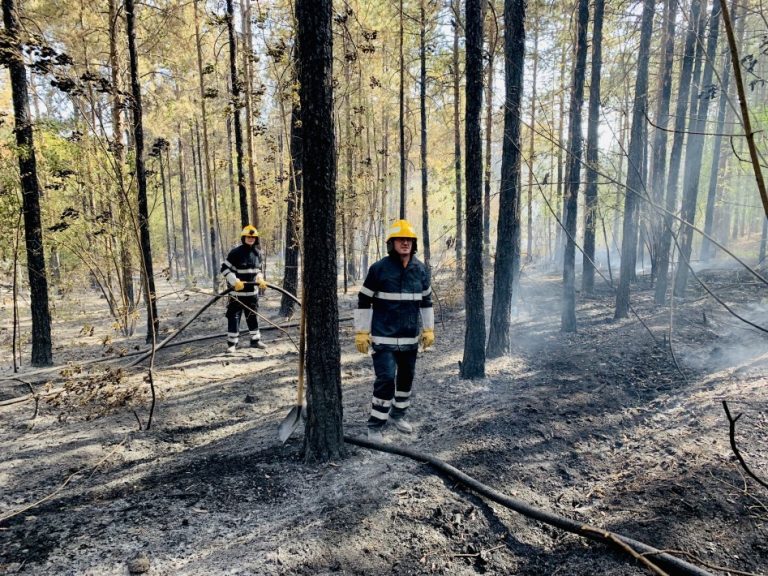 Община Варна призовава гражданите да спазват стриктно правилата за пожарна безопасност
