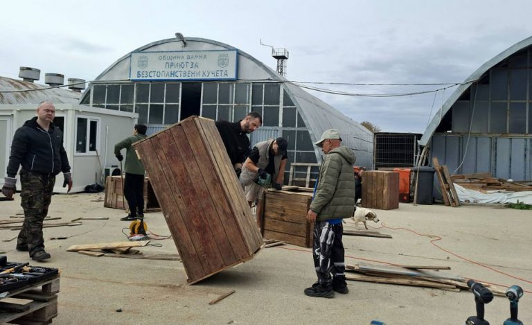 Питомниците на приюта в с. Каменар се сдобиха с обновени дървени къщички