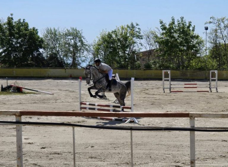 Община Варна обяви обществената поръчка за ремонт на конната база в кв. „Виница“