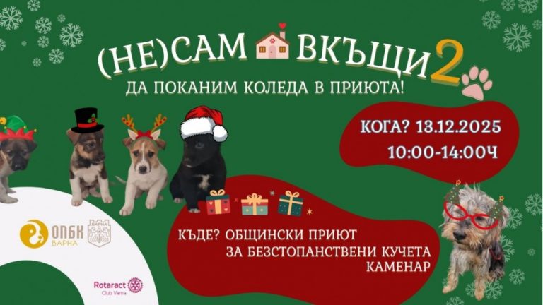 Второ издание на инициативата „(НЕ) Сам вкъщи“ подготвят в Общинския приют за безстопанствени кучета