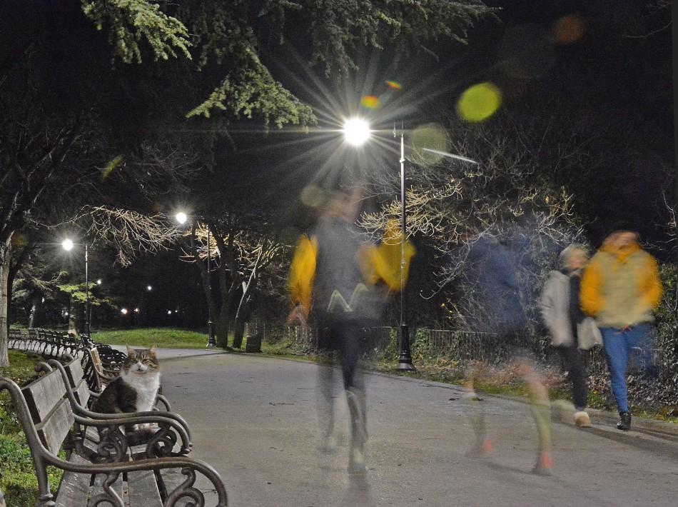 Морската градина във Варна е с изцяло подменено енергоспестяващо осветление