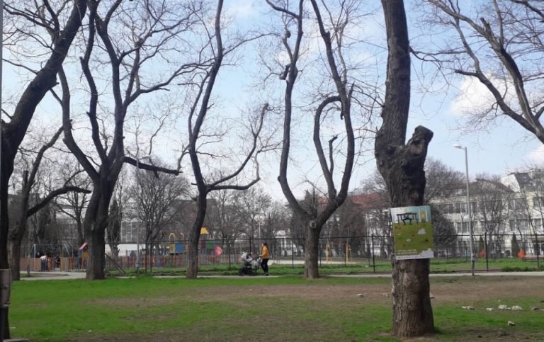 Община Варна обяви обществена поръчка за проектиране и изграждане на парк „Елин Пелин“