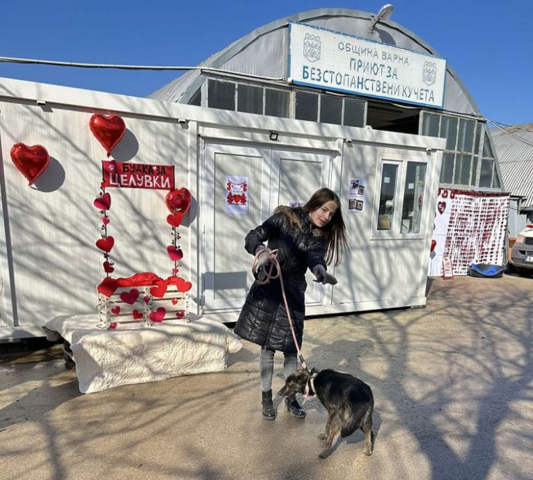 „Намери по-добрата си половинка“ в Общинския приют за безстопанствени кучета в с. Каменар