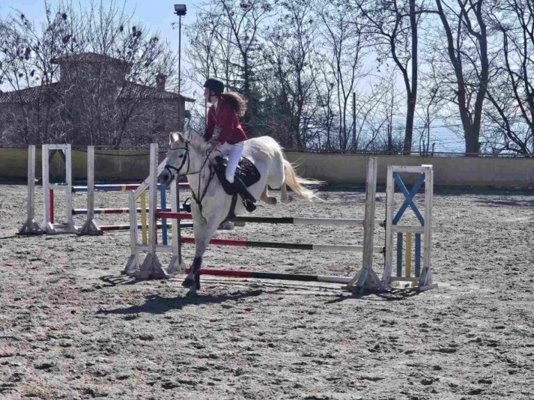 Отбелязват Тодоровден в конната база във „Виница“
