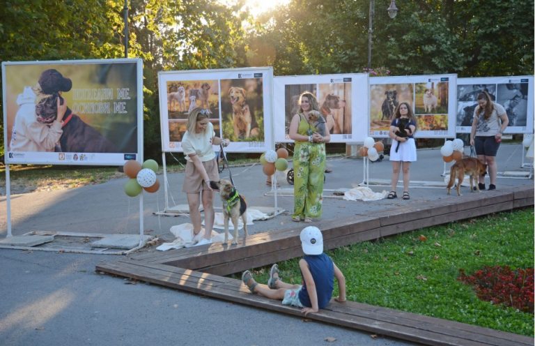 Фотоизложбата „Погледни ме – осинови ме“ дава шанс за нов дом на кучетата от Общинския приют в село Каменар