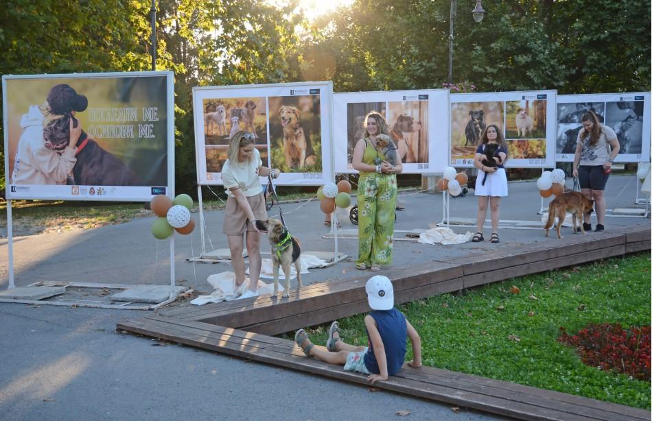 Фотоизложбата „Погледни ме – осинови ме“ дава шанс за нов дом на кучетата от Общинския приют в село Каменар